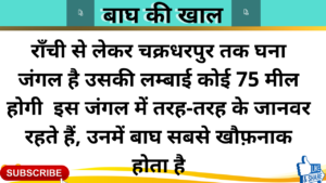 Bagh ki khal | Hindi Kahani Template Duration Under 35 minutes | Hindi Kahani Template Duration Under 15 minutes